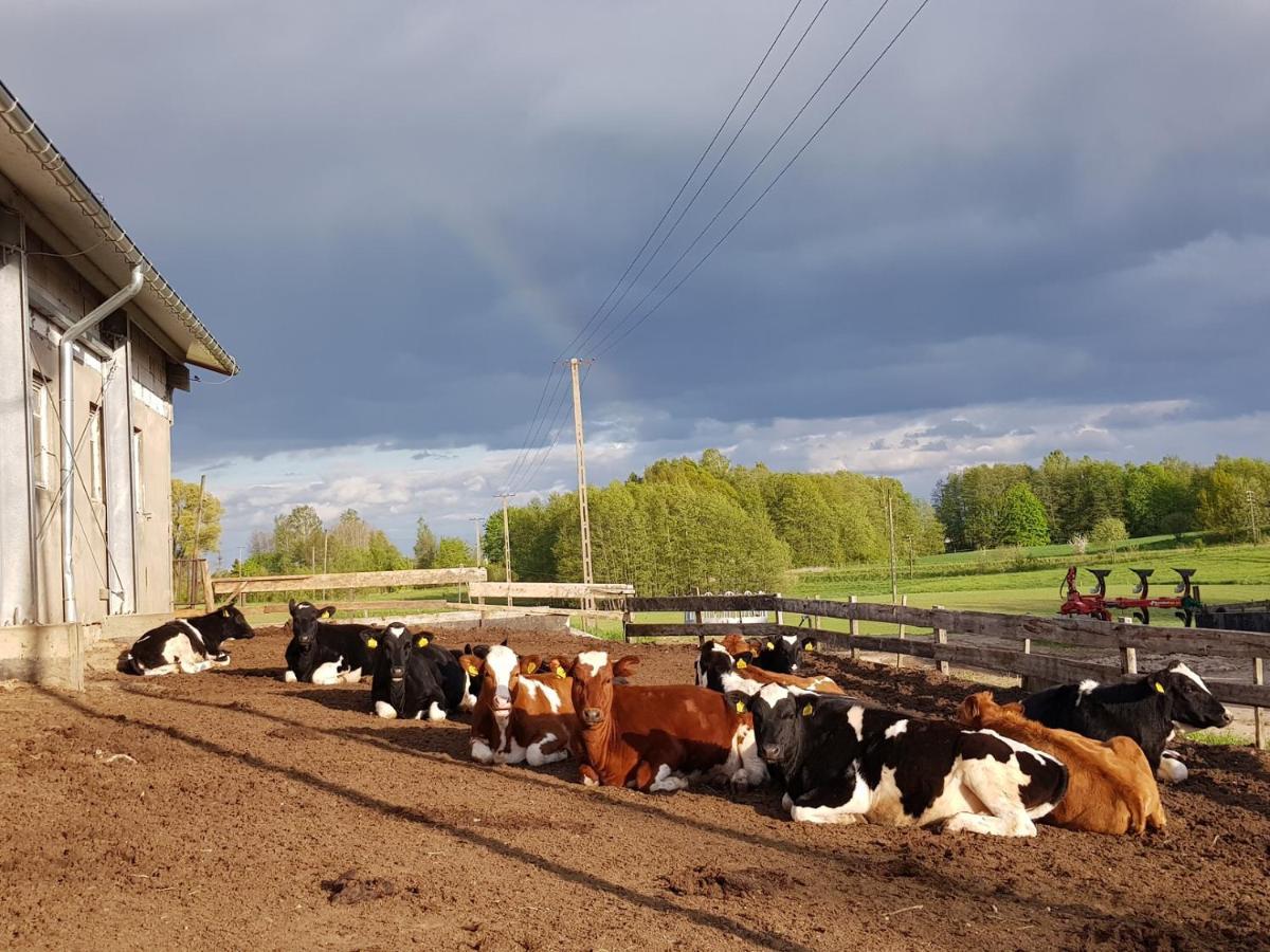 Eko Zagroda Bocianie Gniazdo Mikołajki Exterior foto