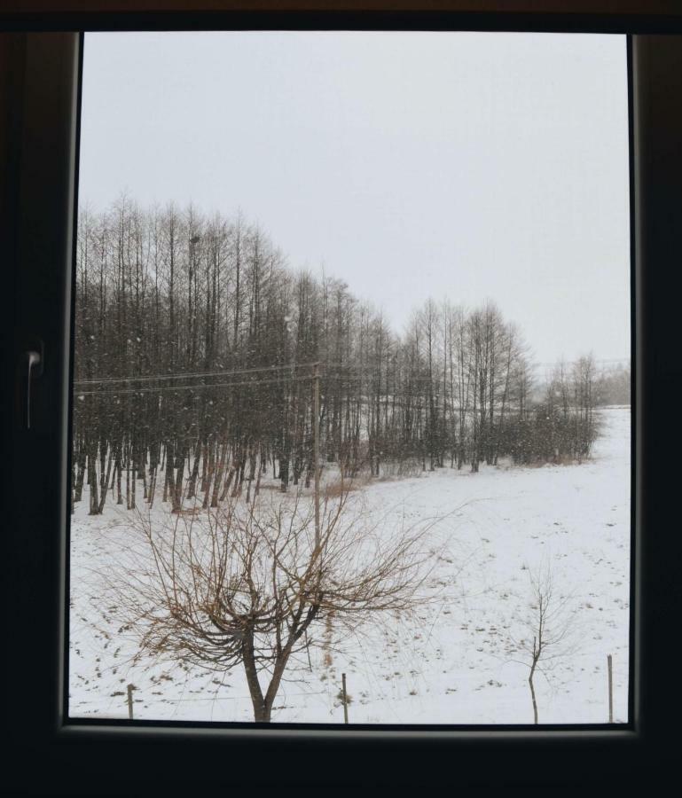 Eko Zagroda Bocianie Gniazdo Mikołajki Exterior foto
